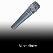 08 Micro filaire