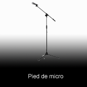 17 Pied micro